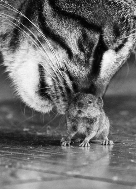 "Ты такой хорошенький!"