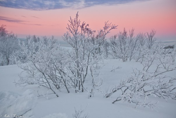 Заполярье (фото моих земляков)