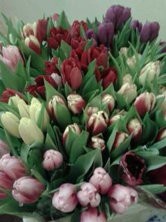 Любимый прздник мужчин - 9 марта :0)