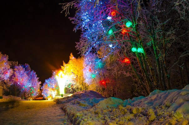 Заполярье (фото моих земляков)