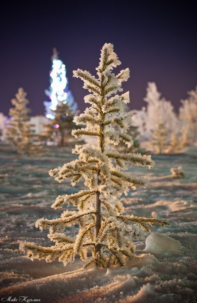 Заполярье (фото моих земляков)