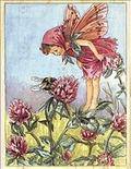 разные картинки