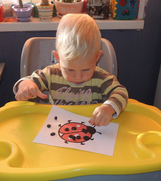 ТН 20 Как растут овощи. 1г 9 мес.