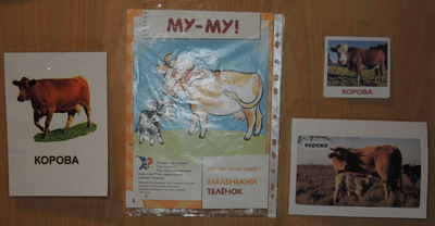 ТН № 14 Корова, молоко, творог. 1г 5м.