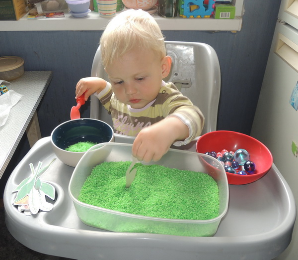 ТД 24 Цветы. 1г 10 мес