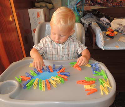 ТЗ 28 Дождик Шичида. 1г 10 мес