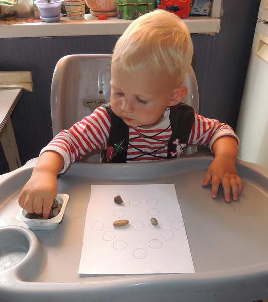 ТЗ 30 Камешки. 2 г.