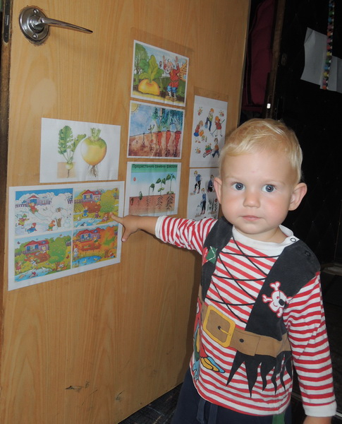 ТН 20 Как растут овощи. 1г 9 мес.