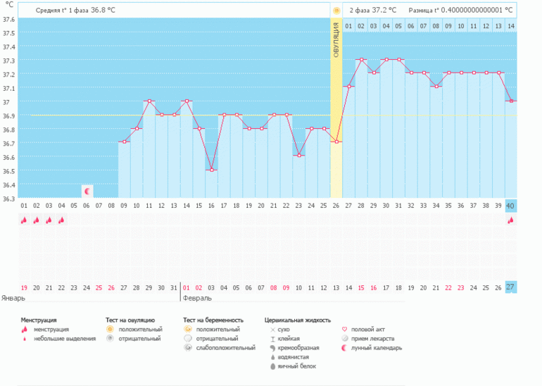 Девочки, посмотрите - подскажите.