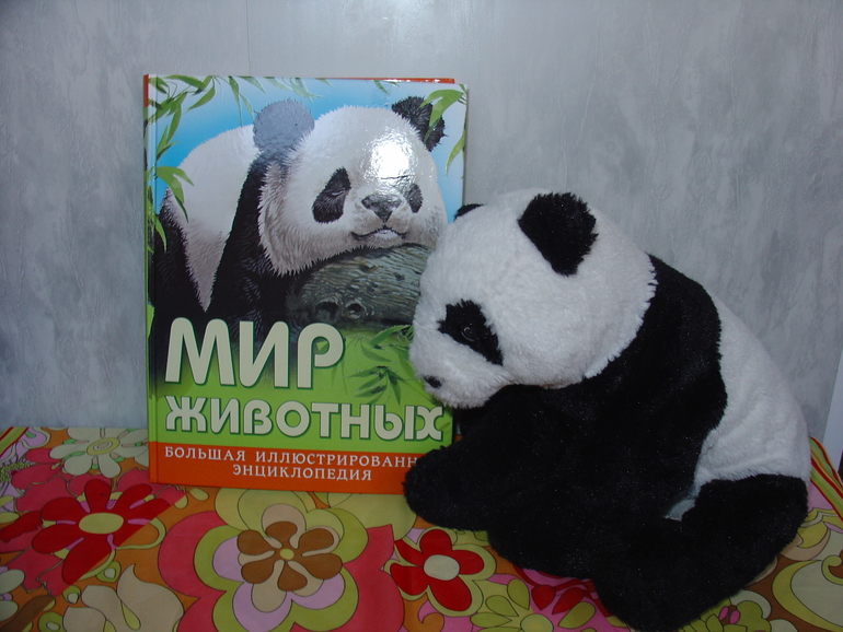 Мир животных, энциклопедия.