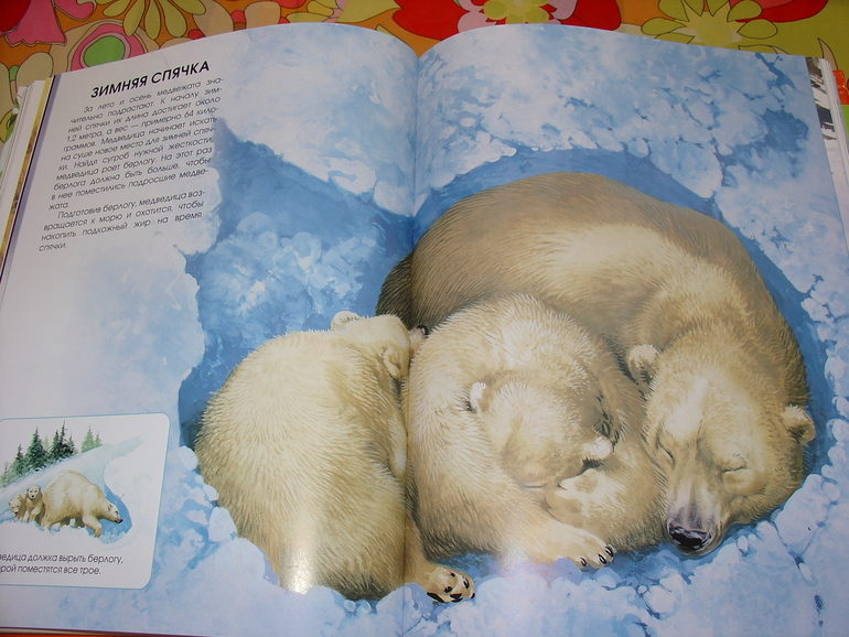 Мир животных, энциклопедия.