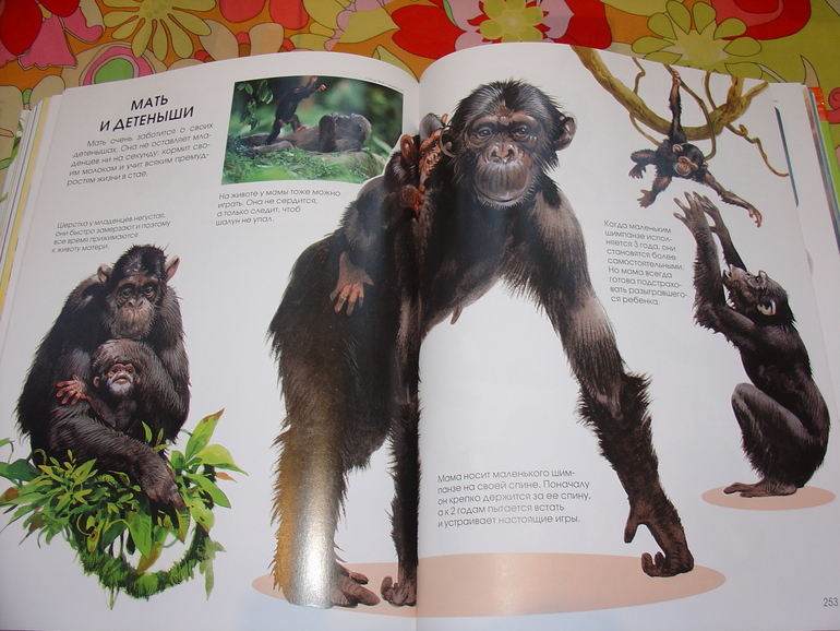 Мир животных, энциклопедия.