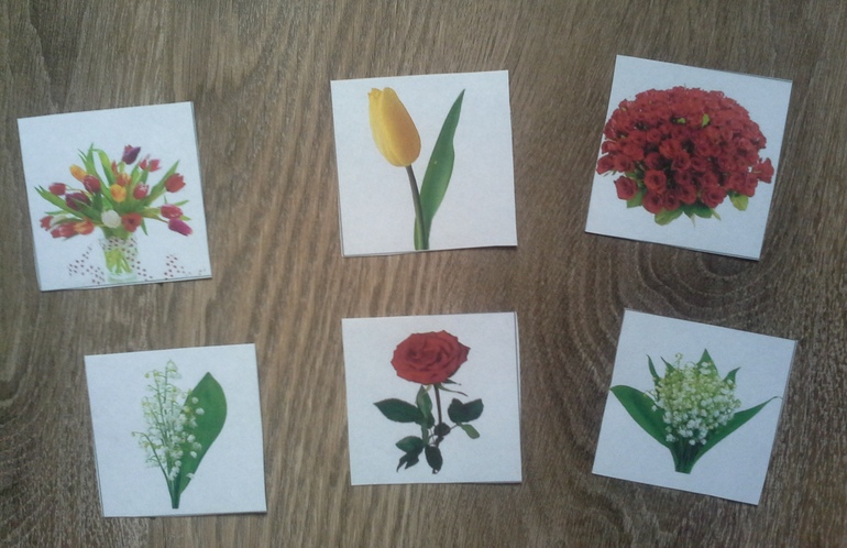 Цветное удовольствие (Шичида для малышей)