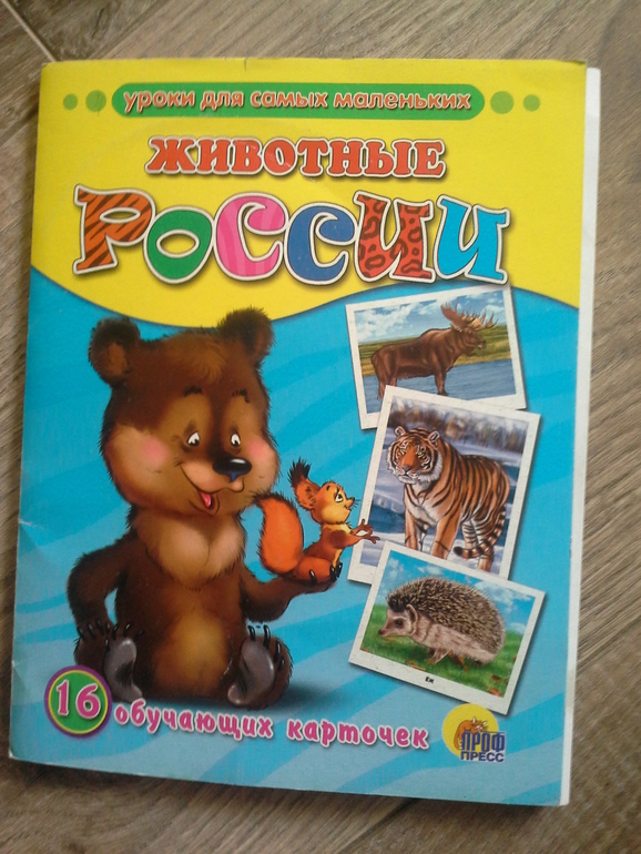 Моторика № 3 в рамках ТН