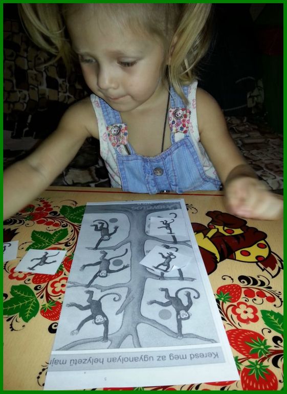 ТН Африка. Экваториальные леса.