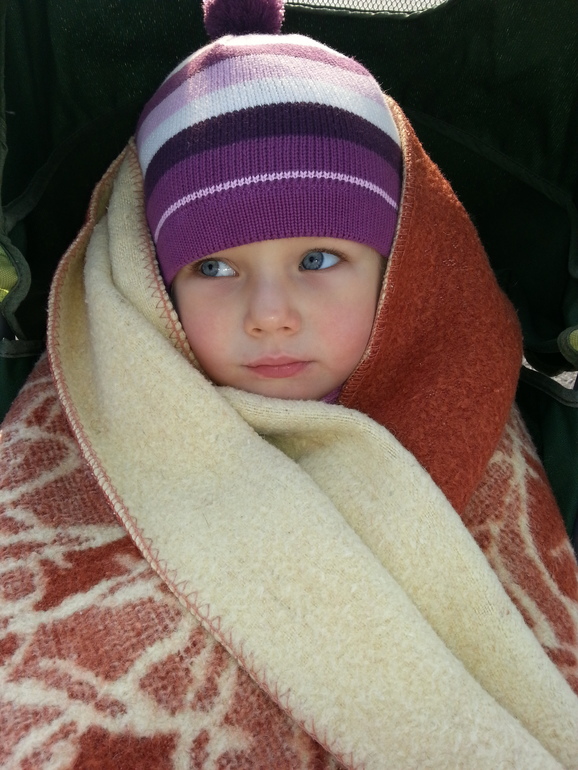 Наши ноябрьские выходные. Коломенское + Измайлово.