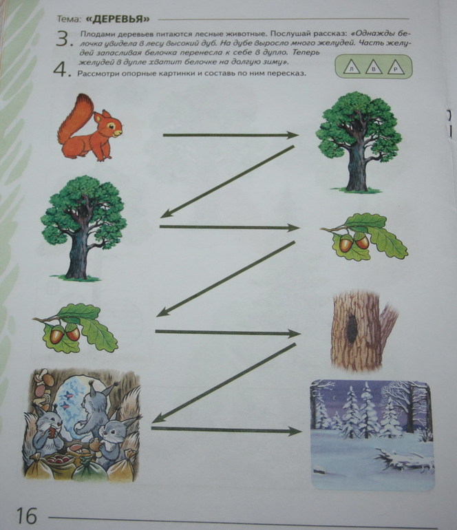 Конспект занятия путешествие в лес. Арбекова развиваем связную речь 4-5. Логопедическое занятие лес деревья. Задания на тему деревья. Теремкова развиваем свзну речь.