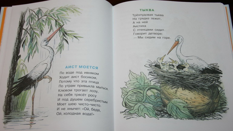 Наши книги с Сутеевым