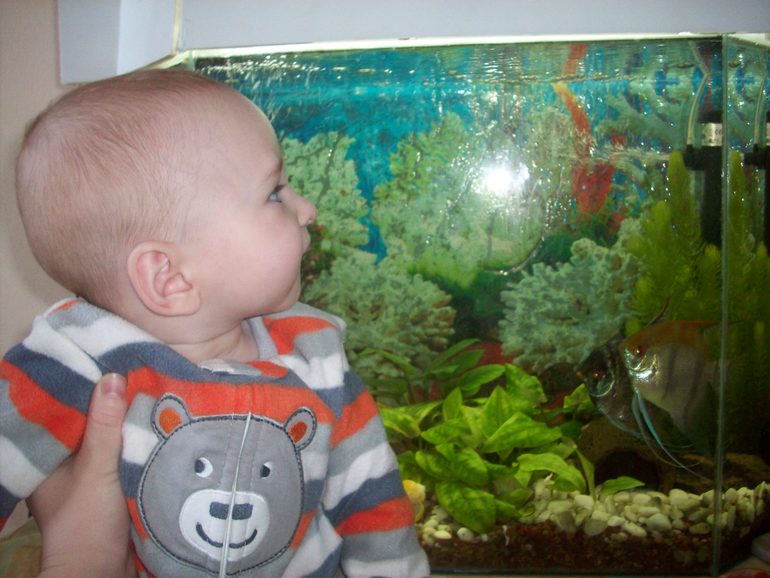 8 месяцев Данюшке!