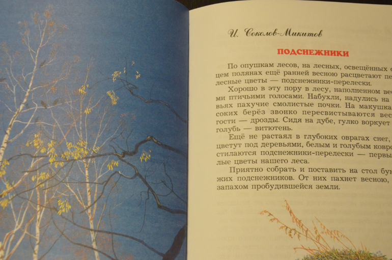 Наши весенние книги. | форум Babyblog