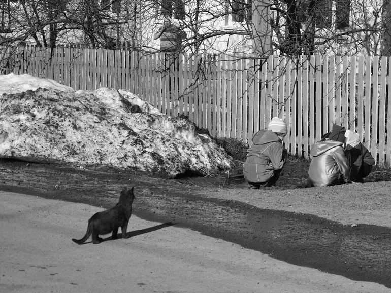 Кораблики...