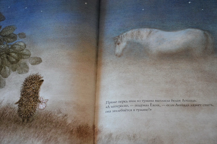 Две очень ночные книги!