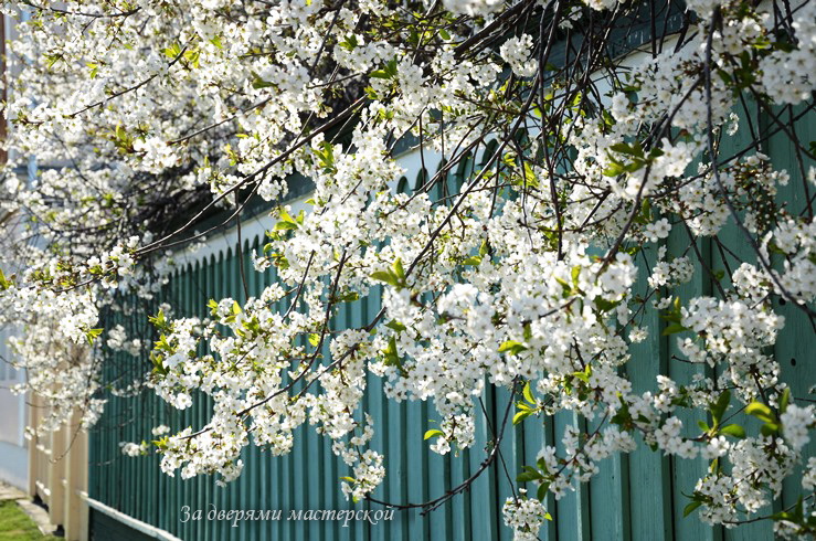 Майский воздух Коломны