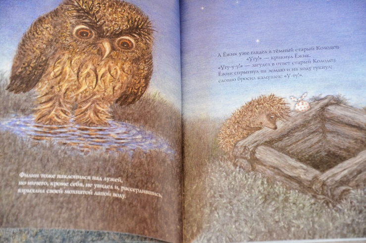 Две очень ночные книги!