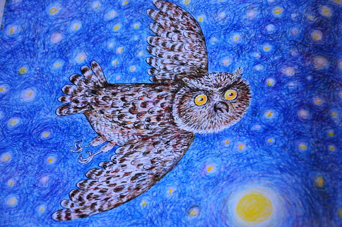 Две очень ночные книги!