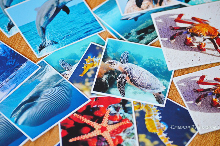 Околозимняя тема и контурное лото