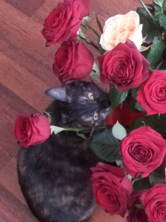 Барселона в цветах