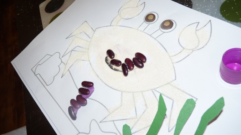 ТН Море: краб и черепаха. День 4