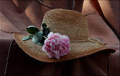 27a37e00dd17cd6f77a3d2a657357347.jpg