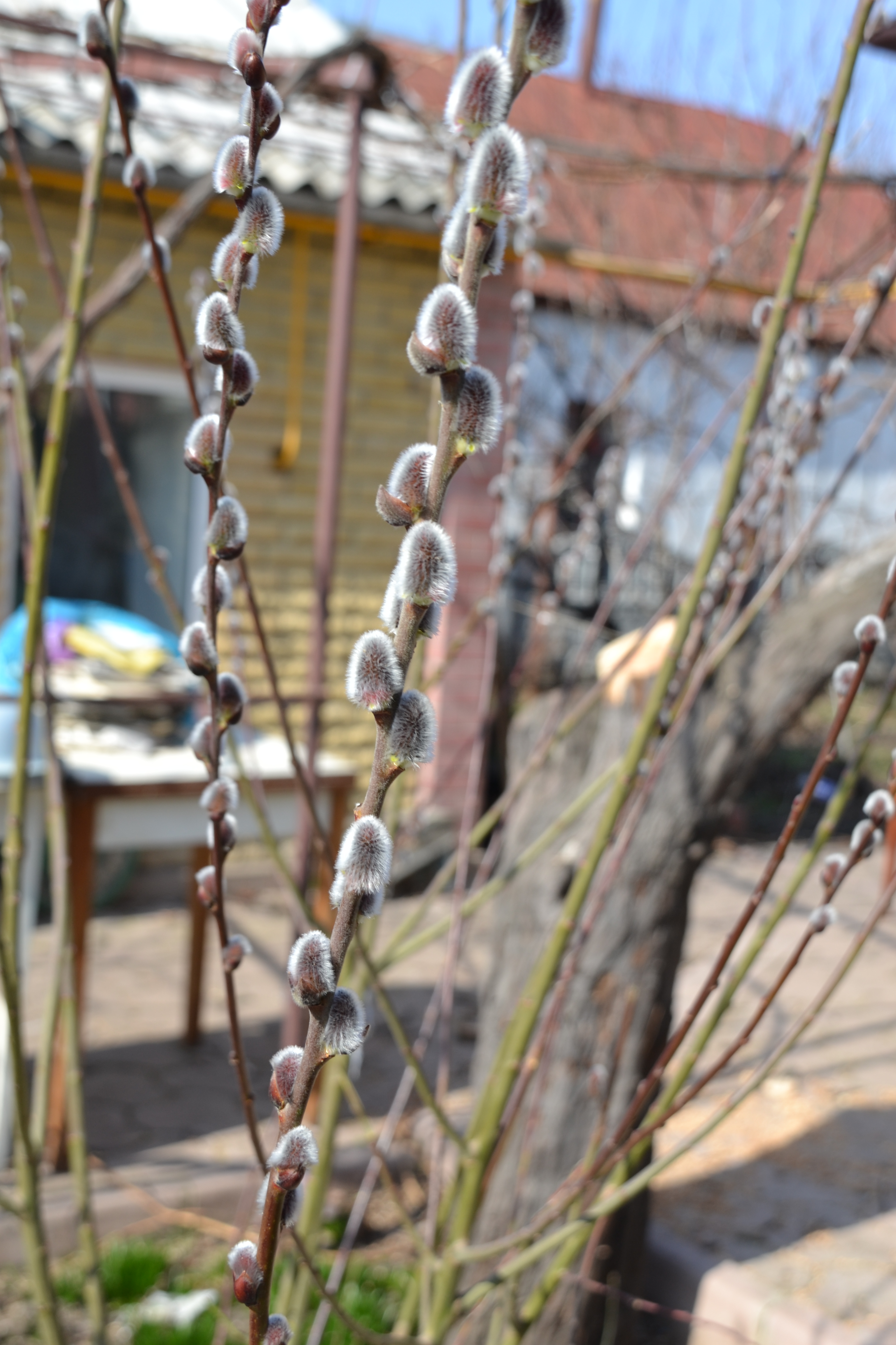 Ближе к природе