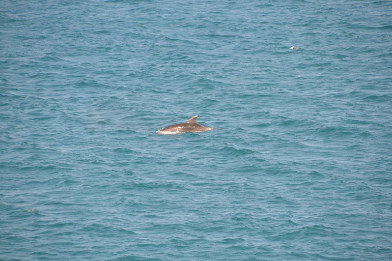 Пляжные игры