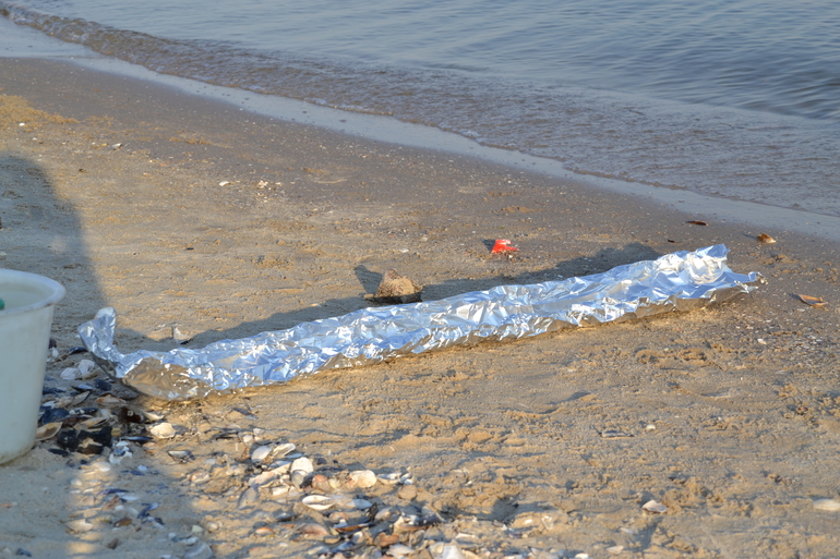 Пляжные игры