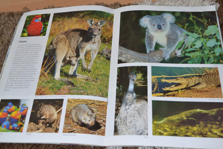 ТН Австралия