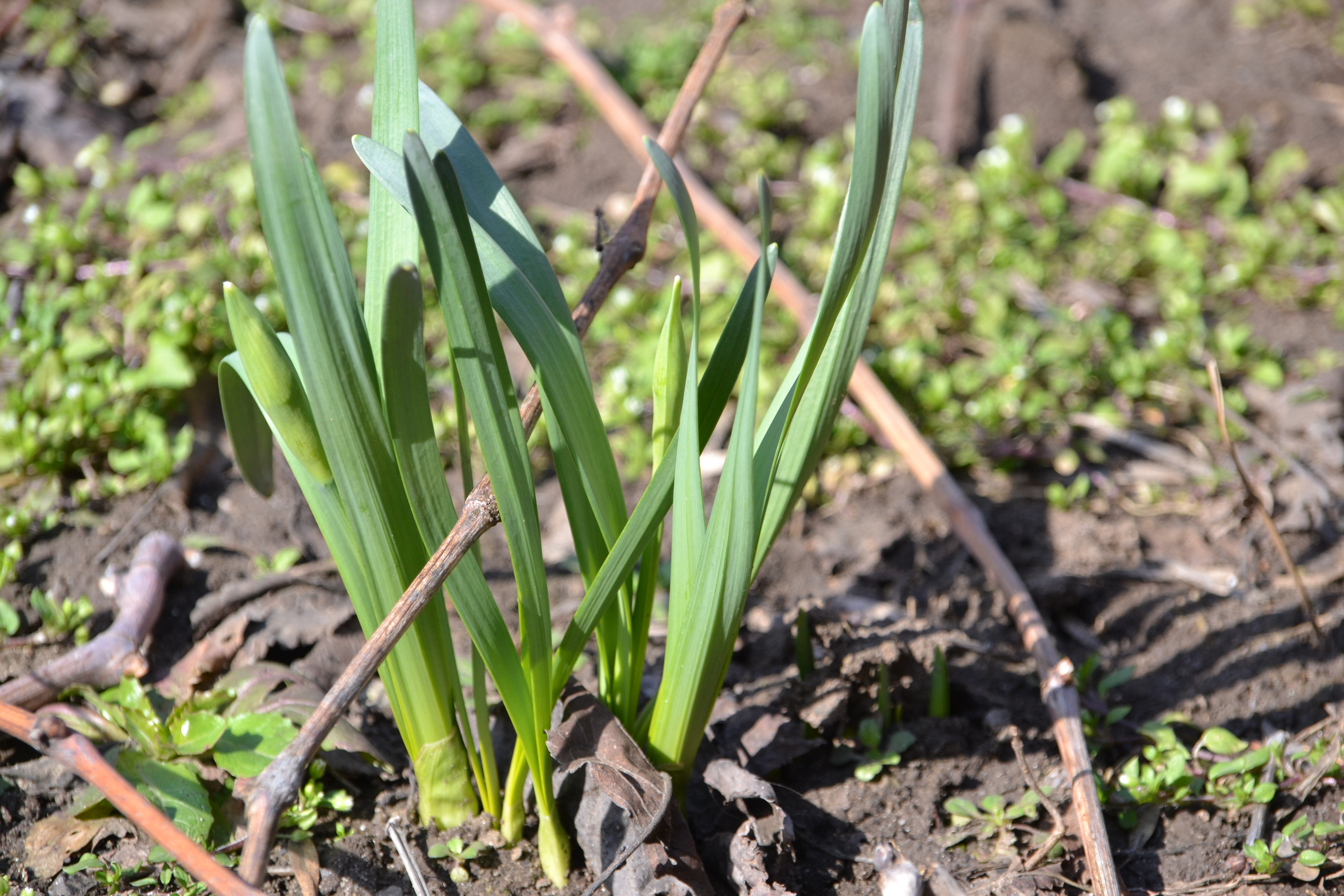 Ближе к природе