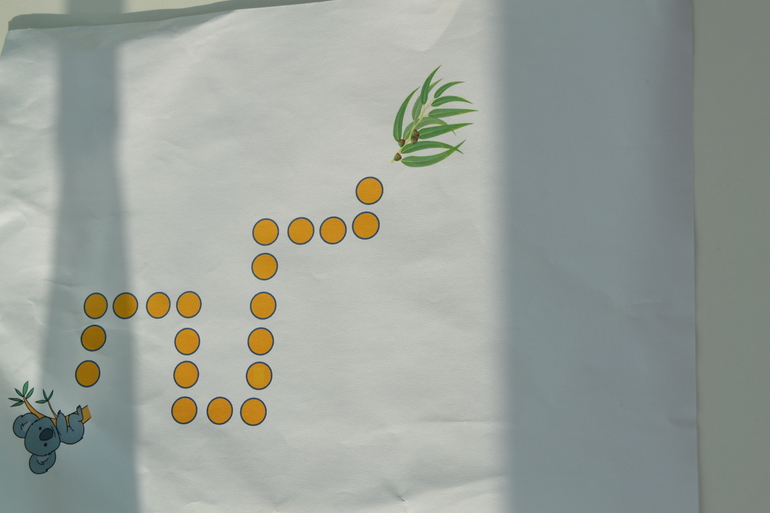 ТН Австралия