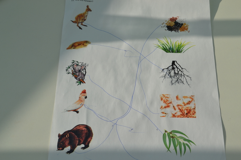 ТН Австралия