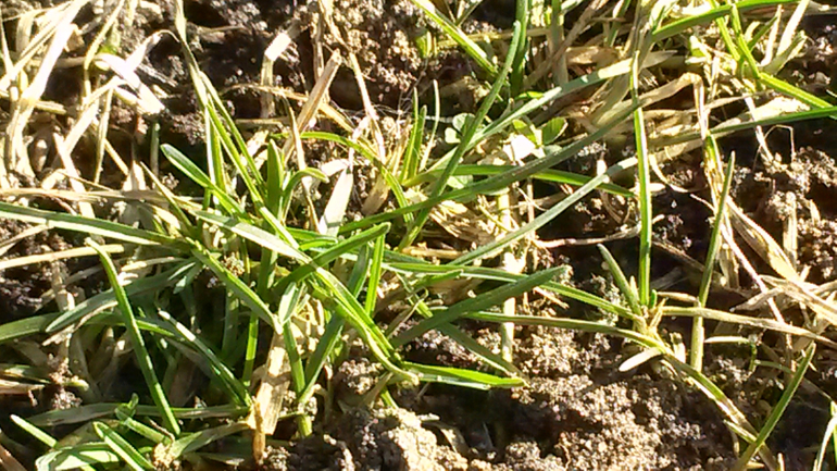 с наступающей!