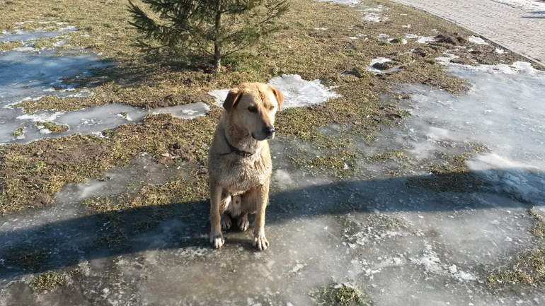 с наступающей!