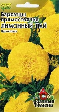 Огород 2014. Посев.