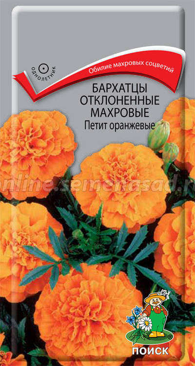Огород 2014. Посев.