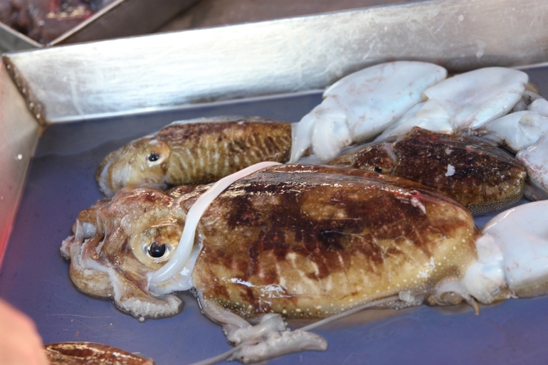 рыбный рынок)