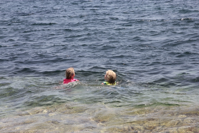 пловцы мои любимые)