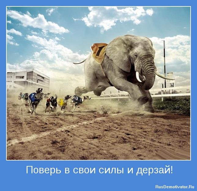 30 дней вокруг света – Глава 26 - Первые ласточки...