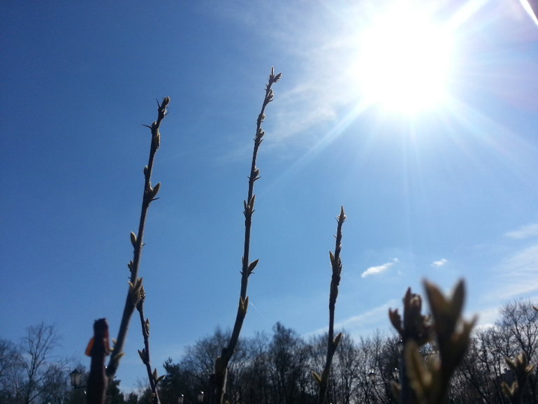 В Черкизовском парке