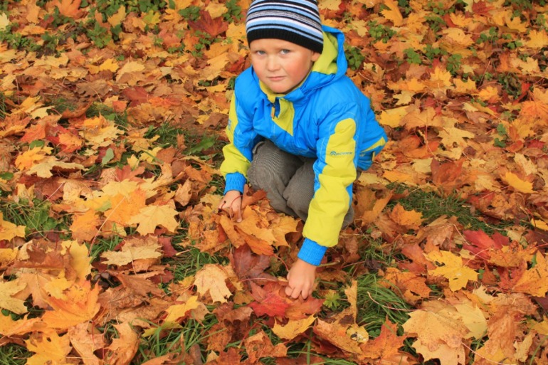И у нас наступила золотая осень