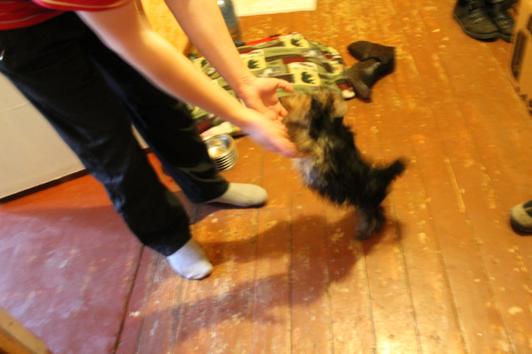 Привет от Зефирки